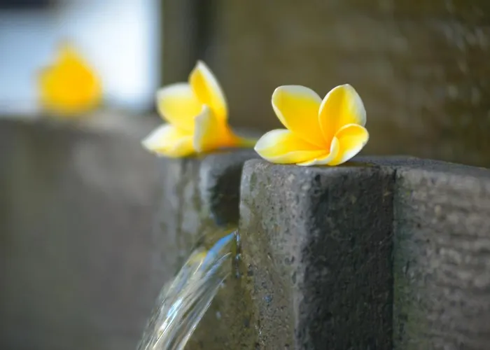 Andari Legian BALI